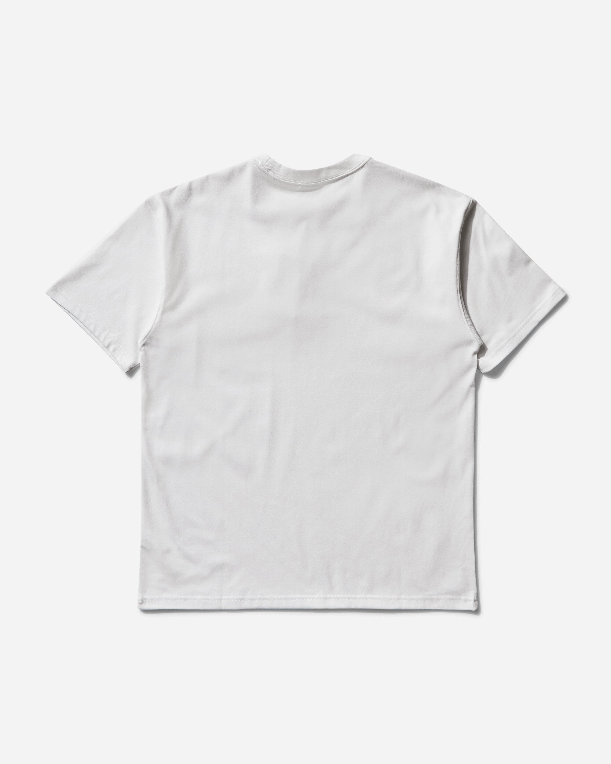 Nike M Nrg Acg Ss Tee Lbr Lungs Summit White/ T-Shirts Shortsleeve DQ1815-121