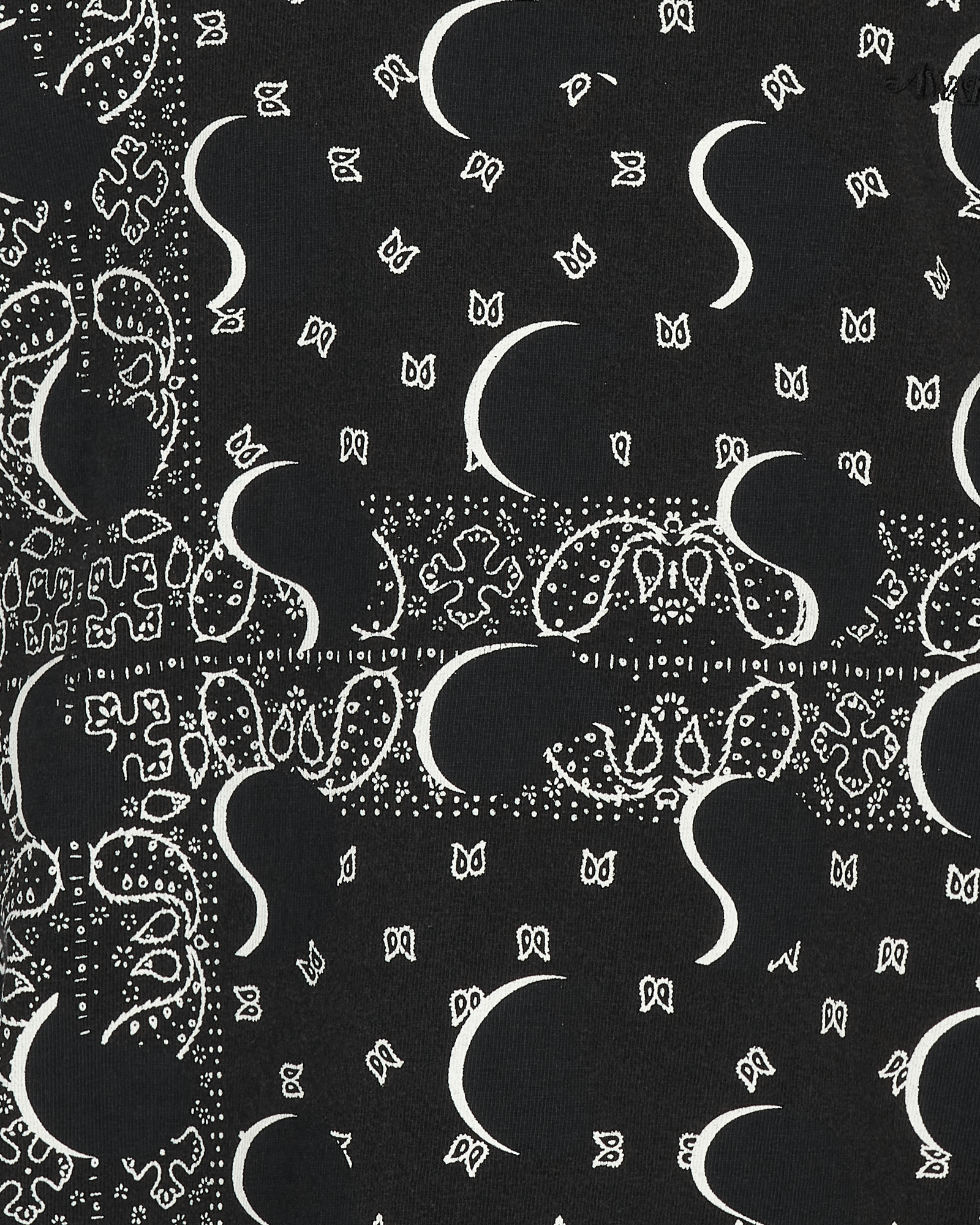 Awake NY Big Paisley Black T-Shirts Shortsleeve AWK-FW21-TS001 BLACK