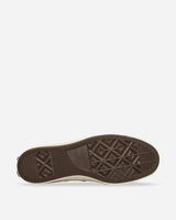 Converse Chuck 70 Canvas Ltd Snake Brown Sneakers Low A16475C
