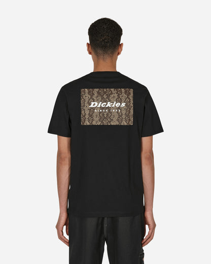 Dickies Camden Box Tee Ss Black Shirts Shortsleeve DK0A4Y1H BLK1