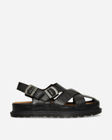 Dr. Martens San Archive Fisherman (Croc) Dark Brown Sandals and Slides Sandals and Mules 41181200