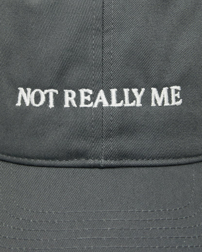 Idea Book Not Really Me Hat Charcoal Hats Caps IBNOTMEHAT 1