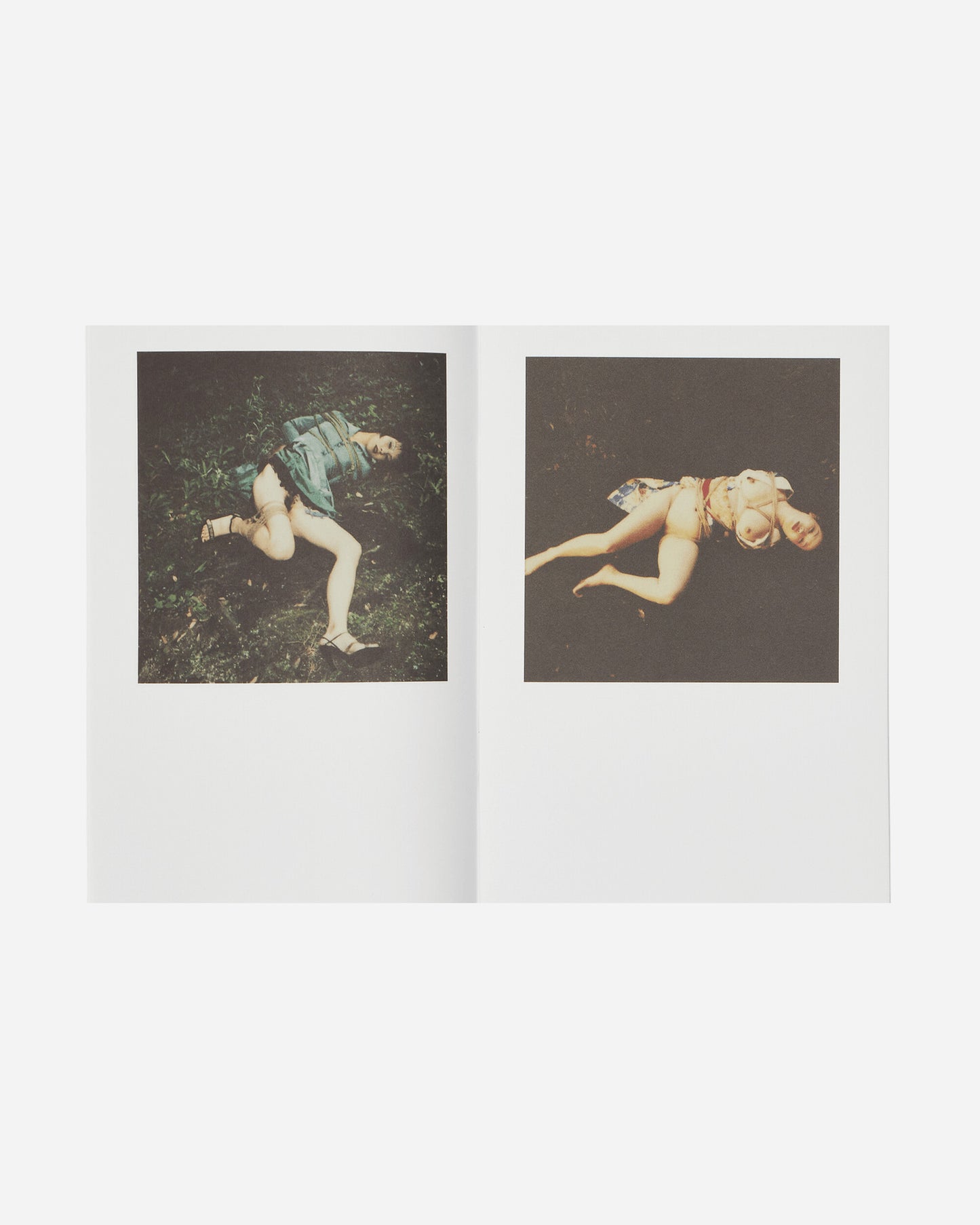 Innen Publishing Nobuyoshi Araki: Polanography Multicolor Books and Magazines Books IPNOBOARAKI 001