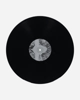 Public Possession L.B. Dub Corp - Saturn To Home Multicolor Music Vinyls DKMNTL101 1