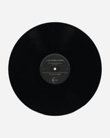 Public Possession L.B. Dub Corp - Saturn To Home Multicolor Music Vinyls DKMNTL101 1