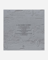 Public Possession L.B. Dub Corp - Saturn To Home Multicolor Music Vinyls DKMNTL101 1