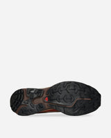 Salomon Xt-6 Clay/Burnt Ochre/Almond Milk Sneakers Low L47737500