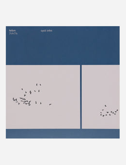 Vinyls Curated by Public Possession Felbm - Cycli Infini Multi Music Vinyls SNDWLP171 001